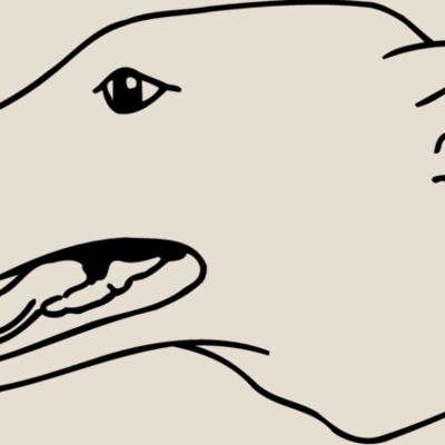 DOG077 Thumbnail