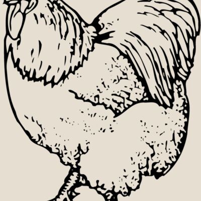 CHICK003 Thumbnail