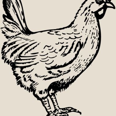 CHICK004 Thumbnail