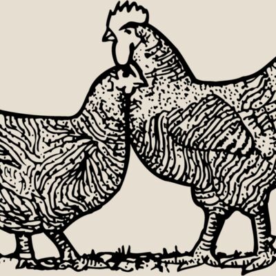 CHICK005 Thumbnail