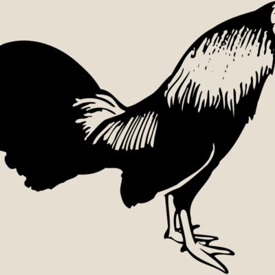 CHICK006 Thumbnail