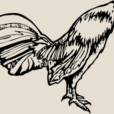 CHICK011 Thumbnail