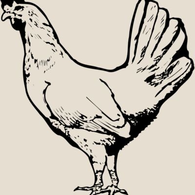 CHICK012 Thumbnail