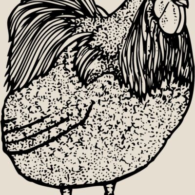 CHICK014 Thumbnail