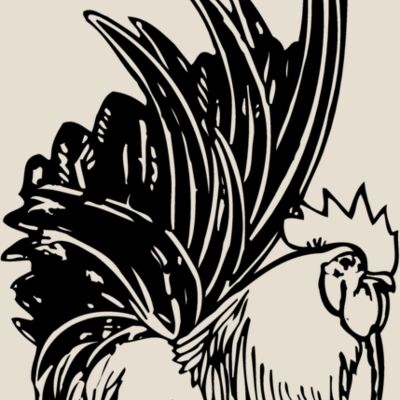 CHICK015 Thumbnail