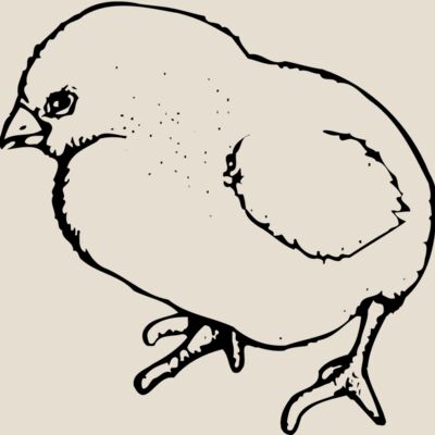 CHICK020 Thumbnail