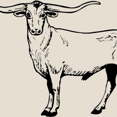 COW016 Thumbnail