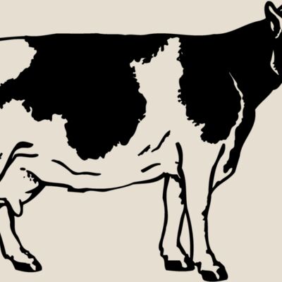 COW024 Thumbnail