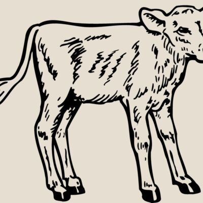 COW028 Thumbnail