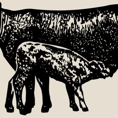 COW029 Thumbnail