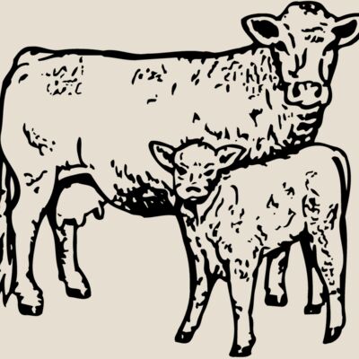 COW030 Thumbnail