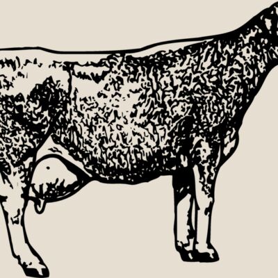 COW034 Thumbnail