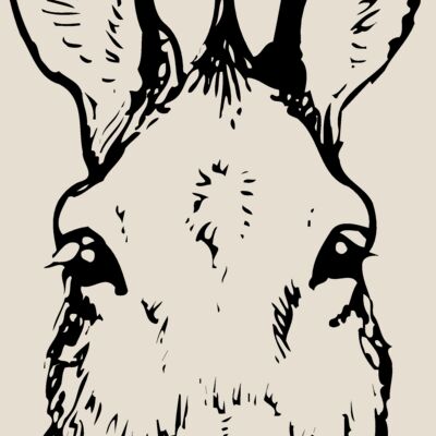 BURRO008 Thumbnail