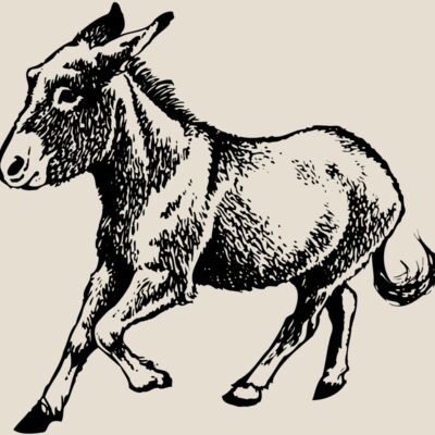 BURRO011 Thumbnail