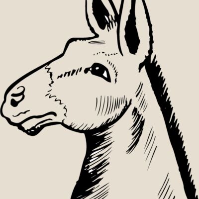 BURRO014 Thumbnail
