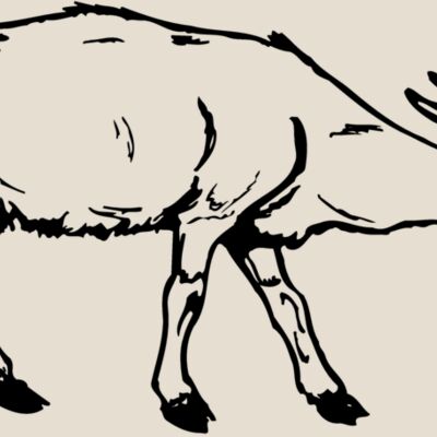 GOAT002 Thumbnail