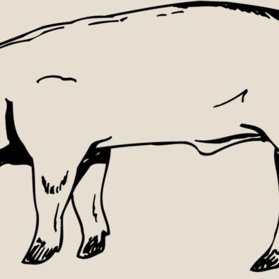 HOG0006 Thumbnail