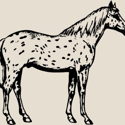 HORSE015 Thumbnail