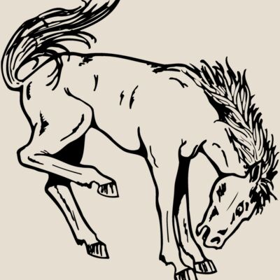 HORSE038 Thumbnail