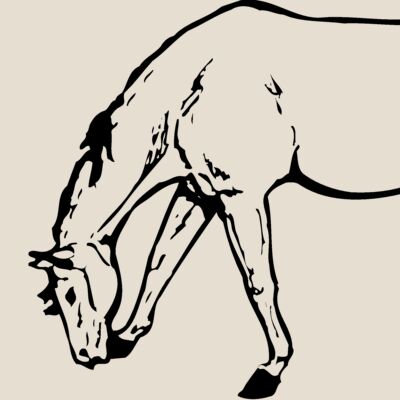 HORSE045 Thumbnail