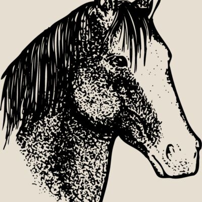 HORSE046 Thumbnail