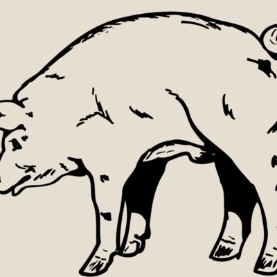 PIG0002 Thumbnail