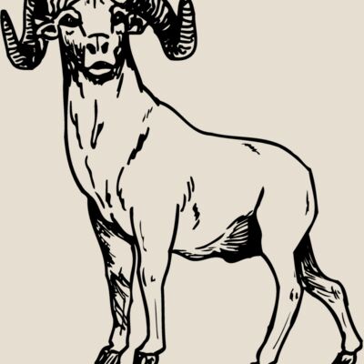 RAM009 Thumbnail