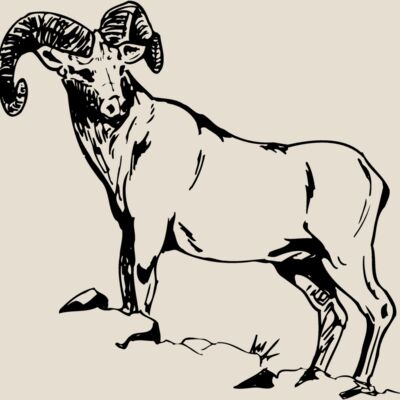 RAM013 Thumbnail