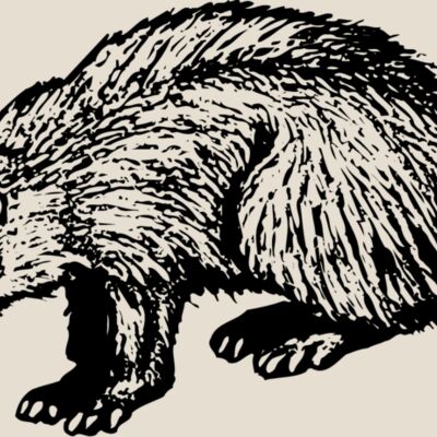 BADGER01 Thumbnail