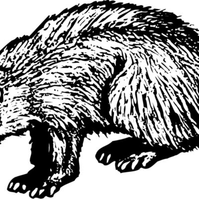 BADGER01 Thumbnail