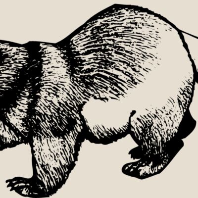 BADGER02 Thumbnail