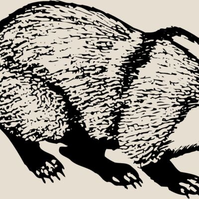 BADGER03 Thumbnail