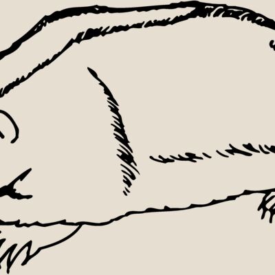 BADGER06 Thumbnail