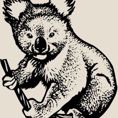 BEAR007 Thumbnail