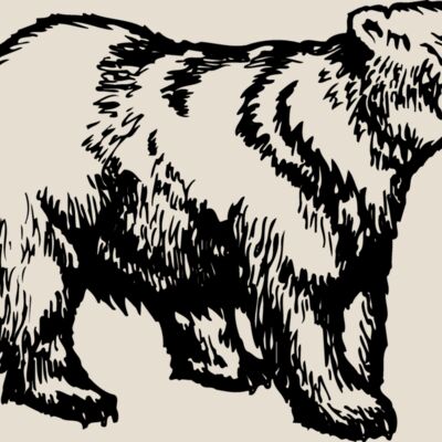BEAR018 Thumbnail