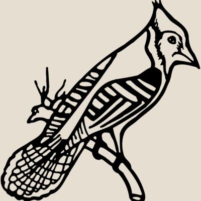 BIRD010 Thumbnail