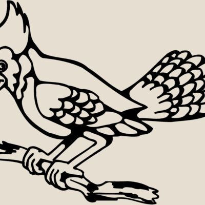 BIRD035 Thumbnail