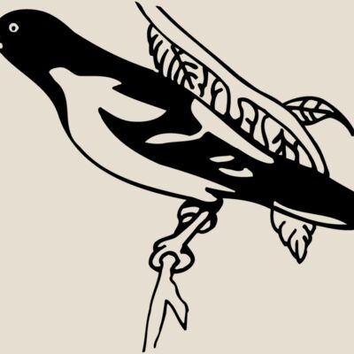 BIRD038 Thumbnail