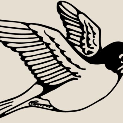 BIRD039 Thumbnail