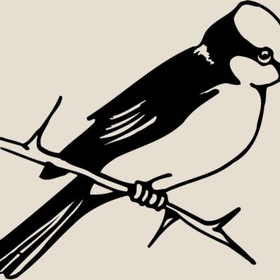 BIRD040 Thumbnail