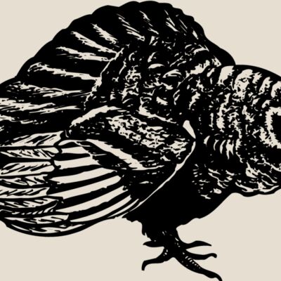 BIRD073 Thumbnail
