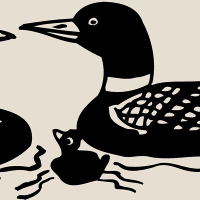 BIRD085 Thumbnail