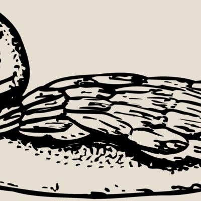 BIRD093 Thumbnail