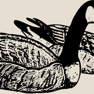 BIRD100 Thumbnail