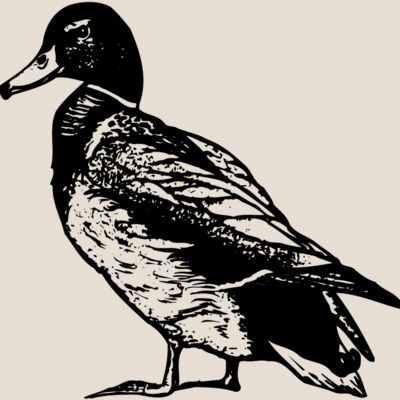 BIRD101 Thumbnail
