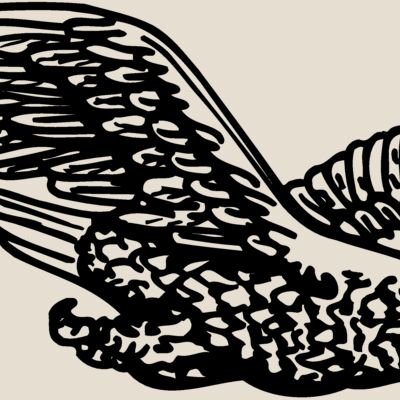 EAGLE006 Thumbnail