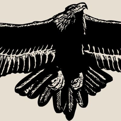 EAGLE010 Thumbnail