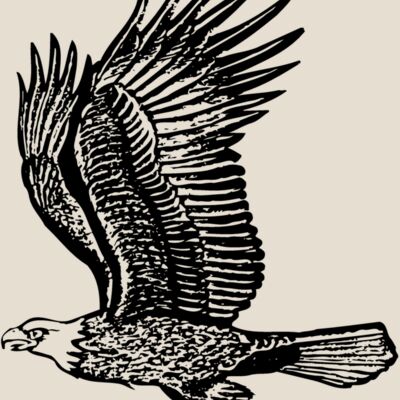 EAGLE012 Thumbnail