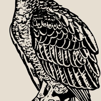 EAGLE019 Thumbnail