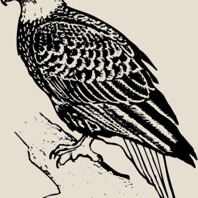 EAGLE021 Thumbnail